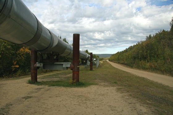 photo of an oil pipeline disappearing into the horizon of a forest and cloudy sky